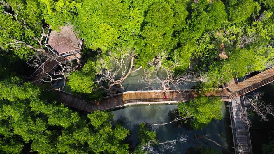 箱根の散歩風景
