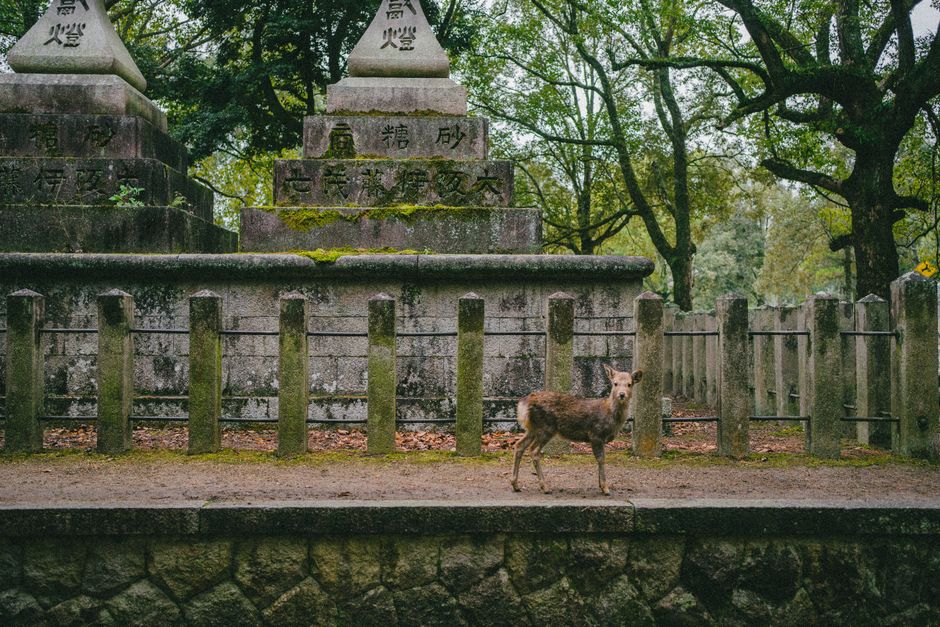 箱根の散歩風景