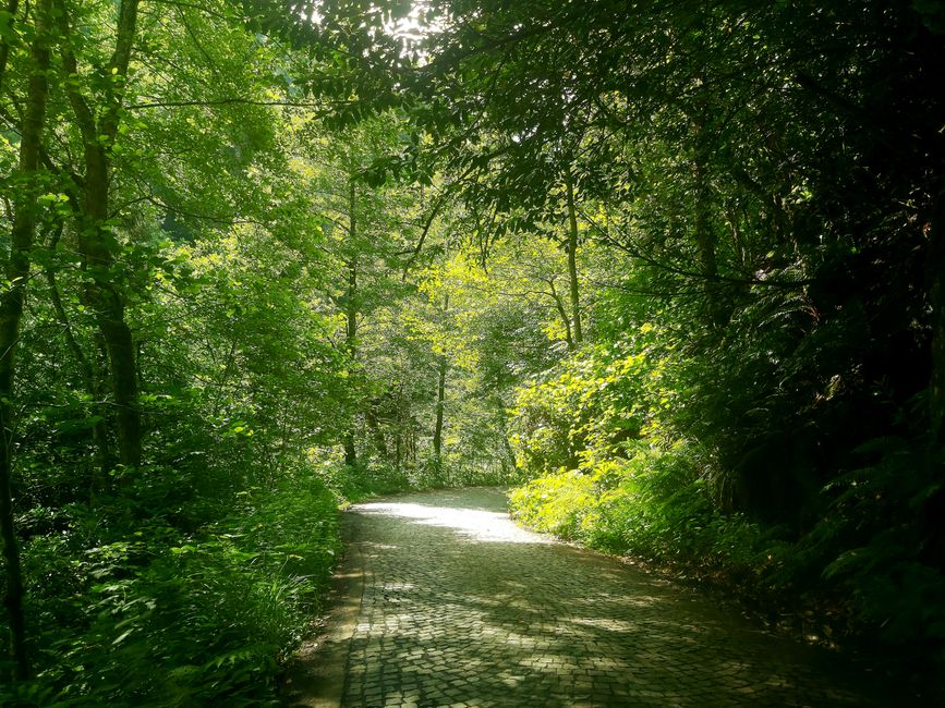 箱根の散歩風景