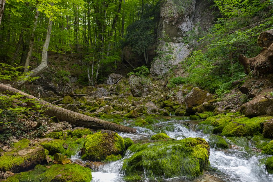 箱根の散歩風景