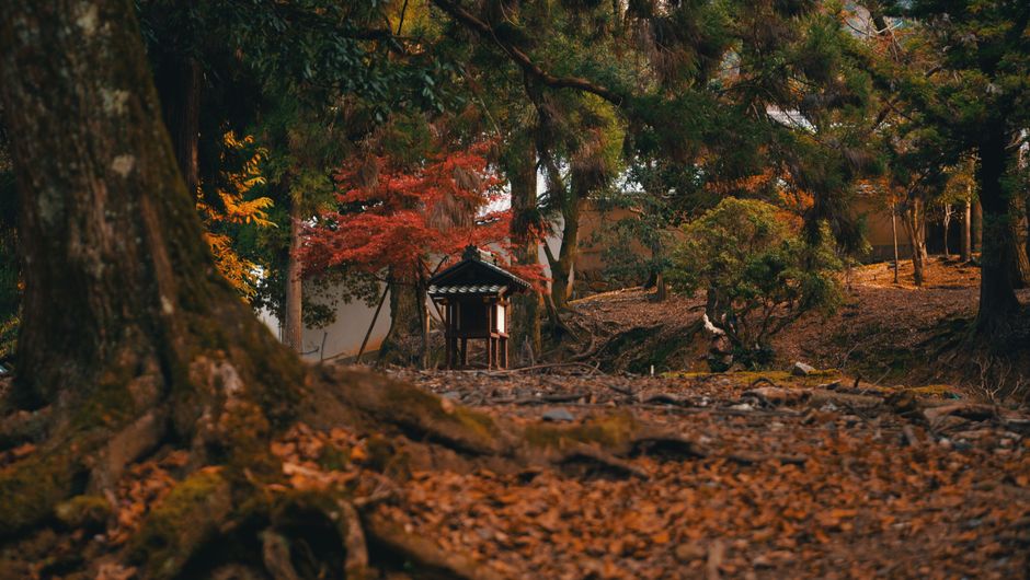 箱根の風景