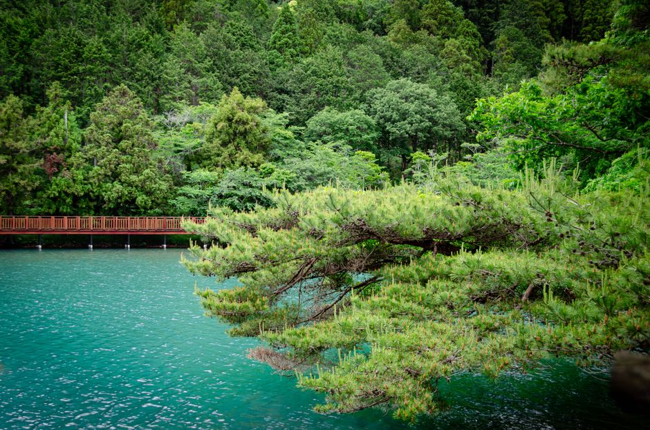 箱根の散歩風景