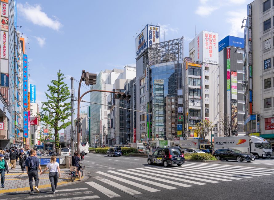 箱根の散歩風景