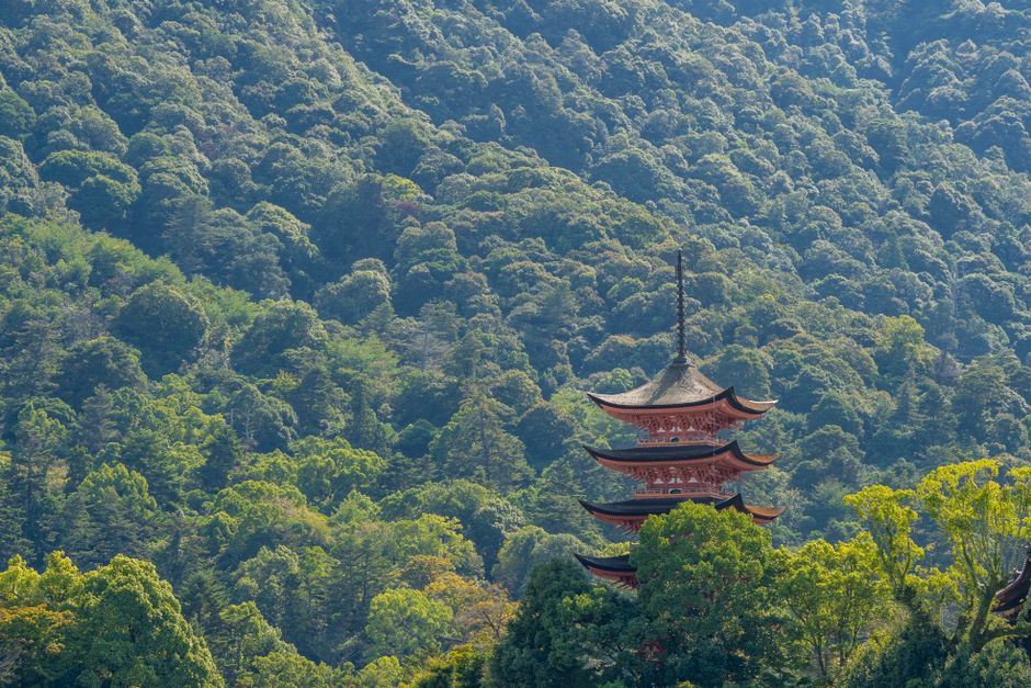 温泉旅のイメージ