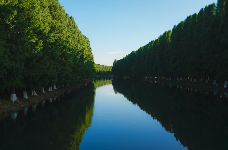 箱根の散歩風景