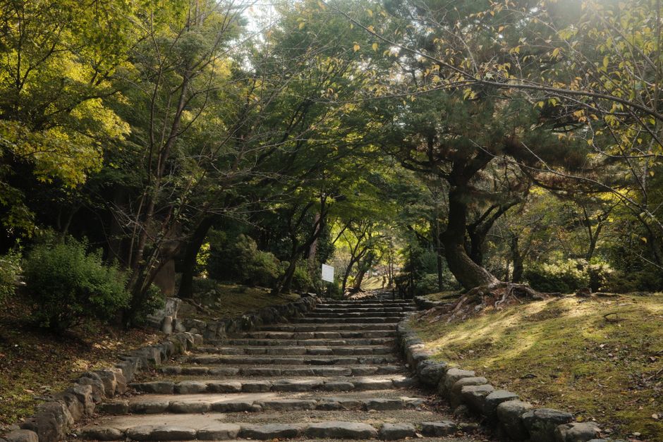 箱根の散歩風景
