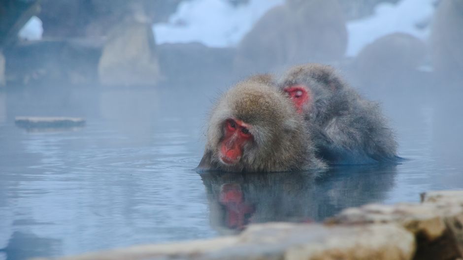 温泉旅のイメージ
