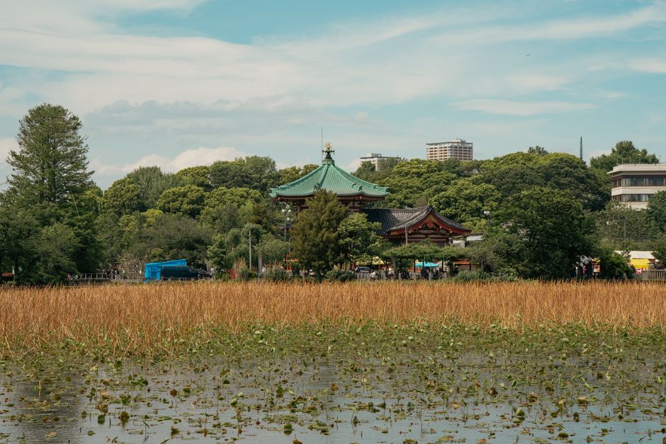 箱根の散歩風景