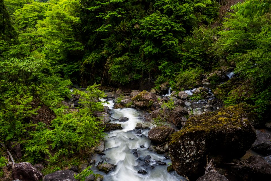 箱根の散歩風景