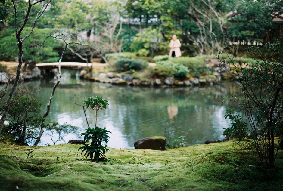 箱根の散歩風景