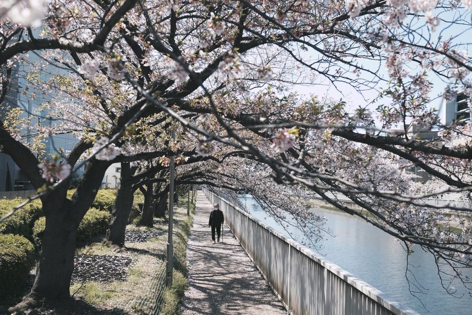 箱根の散歩風景