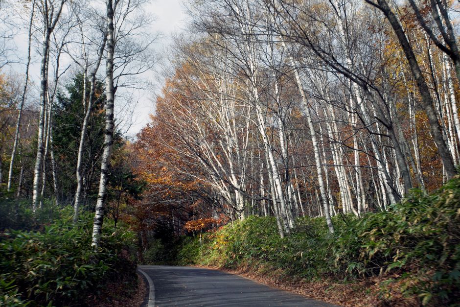 箱根の散歩風景